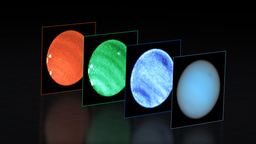 What makes Neptune's dark spots dark?
