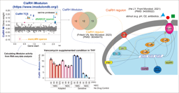 Finding new meaning in the Streptococcus pneumoniae TIGR4 transcriptome through iModulons