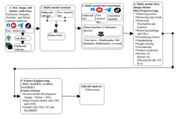 Developing an Amh3MD as a multimodal dataset for the detection of information disorders