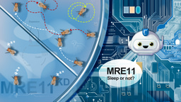ChatGPT helps decode sleep