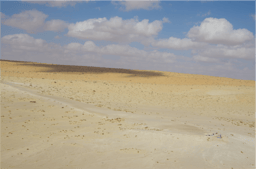 Fossil herbivore stable isotopes reveal Middle Pleistocene hominin palaeoenvironment in ‘Green Arabia’