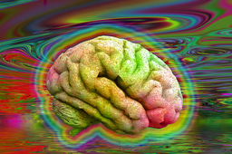 Call for papers: Effects of Psychedelics on the Brain