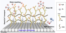 Moderately Hydrophobic Polymer Protective Layer Enables Zn (100) Deposition for High Utilization Zinc Anodes