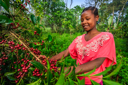 Can We Feed the Future Without Sacrificing Nature? A World Food Day Conversation with Florencia Montagnini