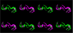 A Molecular Shredder at the Source: How Trypanosomes Fine-Tune Their Surface Coat