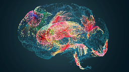 Call for papers: Neurodegeneration and the role of immunopathology
