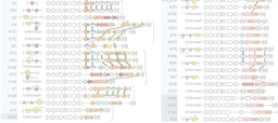 Beyond serology: unveiling the genetic blueprint of Escherichia coli’s outermost defense