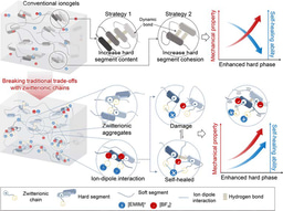 Zwitterionic Ionogels Resolving the Trade‑Off Between Mechanical Strength and Autonomous Self‑Healing for Iontronics
