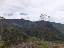 Behind the paper: Persistent tropical foraging in the highlands of terminal Pleistocene/Holocene New Guinea