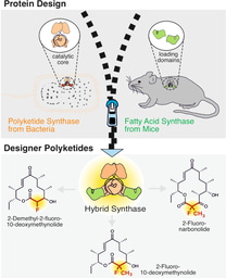 How to introduce fluorine in polyketide natural compounds