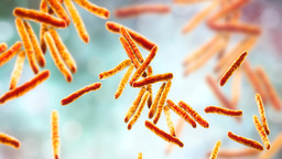 Introducing Mycobacteria