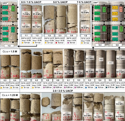 Bio-Concrete Achieves Unprecedented Strength
