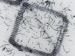 Plugs over filters: stopping microplastic fibre release at its source