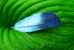 Learning from a recent global experiment on environment