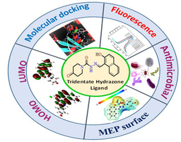 Synthesis of  Aroyl hydrazone, Medicinal hydrazone, metal complexes, DFT analysis Molecular docking study 