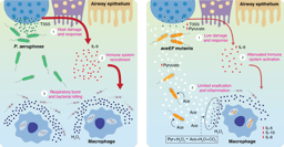 When a metabolite becomes more than a metabolite