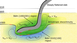 How sinking plates carve boundaries in the deep mantle