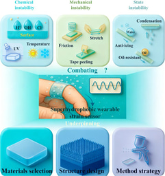 Superhydrophobic Wearable Strain Sensors: From Strategic Design to Robustness Paradigm