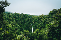 Increasing behavioral science engagement in biodiversity conservation