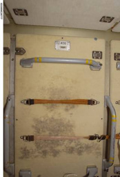 NASA, Alfred P. Sloan Foundation Award Fellowships to Study Space Station Microbes