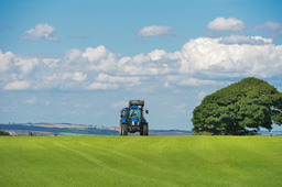 Behind the Paper: Soil as a Battlefield and a Reservoir