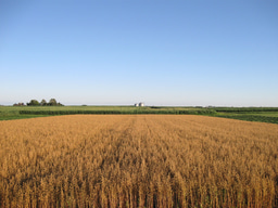 No Free Lunch — A soil perspective on sustainable agriculture