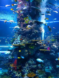 Offshore ‘farming’: a win-win for biodiversity?