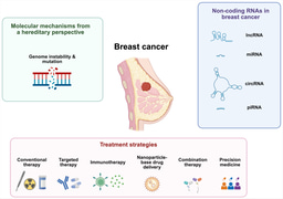 Hereditary Breast Cancer: Q&A with Dr Zhenshan Yang, EBM at Hereditas