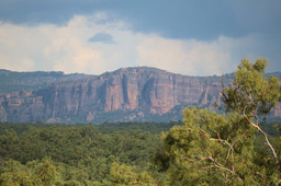 The biodiversity contribution of wilderness areas