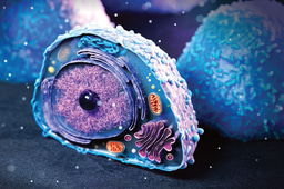 Call for papers: Lipids in Cell Biology 2026