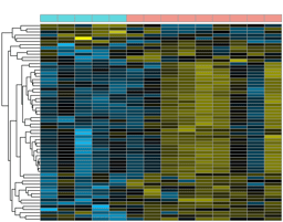 A Complementary Proteomics and Cardiac Magnetic Resonance Approach to Characterize Right Ventricular Remodeling After Tetralogy of Fallot Repair