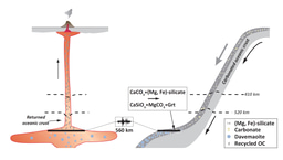 A Seismic Fingerprint of Earth’s Deep Carbon Cycle