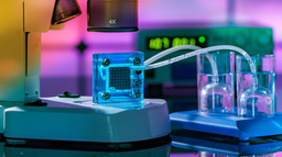 Continue exploring: Fuel cell technologies