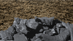 Call for papers: Sustainable biomass and energy