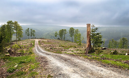 Regional bias in research on land use change, ecosystem restoration and zoonotic disease risk