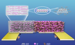 Flexible iontronics based on 2D nanofluidic material