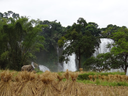 Humboldt's 'Naturgemälde' can pave the road for lasting agro-ecological transitions