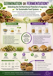 Germination or Fermentation? Unlocking the Full Nutritional Potential of Legumes for Sustainable Food Systems