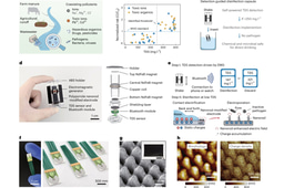 From Everyday Motion to Safer Water: A Self-Powered Floating Capsule for Water Detection and Disinfection