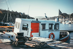 Sink or Swim: The COVID-19 Impact on Environmental Health, Fish Levels and Illicit Maritime Activity