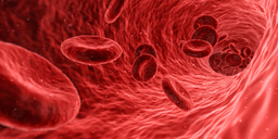 Biodegradable sensor for blood flow