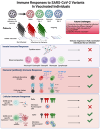 COVID-19 vaccines and new variants of concern, the end (of the pandemic) is the beginning