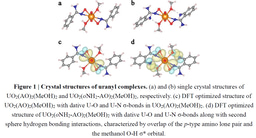 Bio-Inspired Uranium Nano-Traps