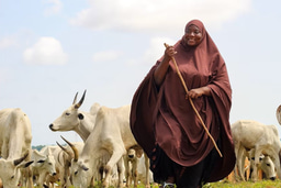 It takes a village: fighting maternal mortality in rural communities