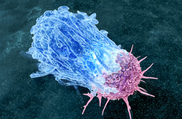 Call for papers: Macrophages in Cancer