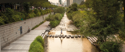 Welcome to our sustainability community