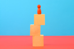 Call for papers: Basic Psychological Needs and Well-Being