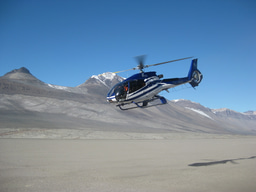 Flying microbes struggle to go the distance