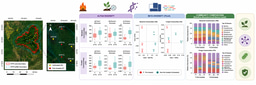 Research Reveals Prescribed Forest Fires Have Minimal Impact on Soil Microbial Health