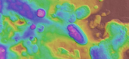 The Lakes and Seas of Ancient Mars